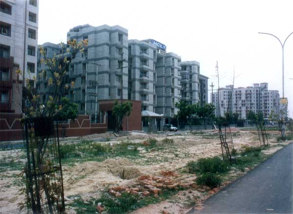 Real Estate in Noida